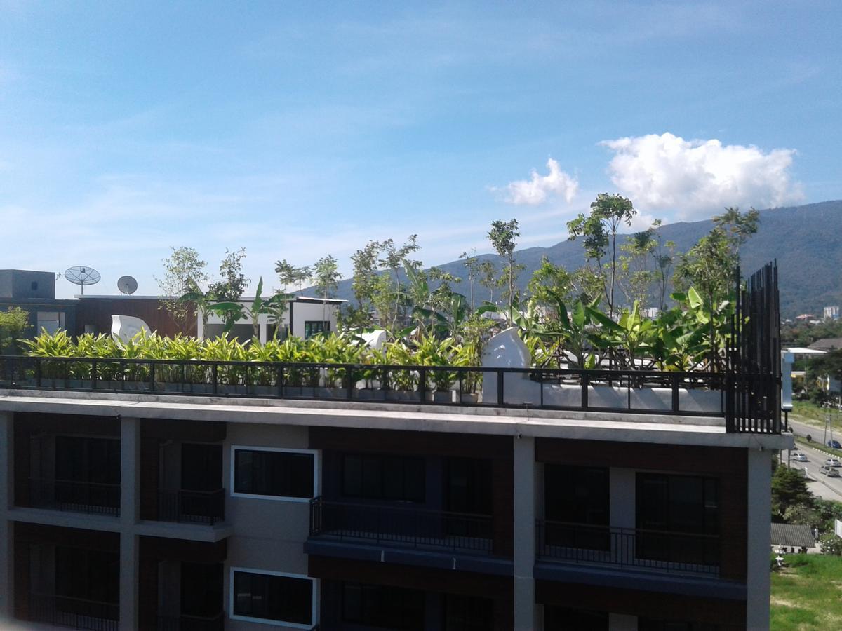 Icheck Inn Trams Square Τσιάνγκ Μάι Εξωτερικό φωτογραφία